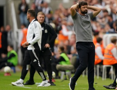 มาร์ตินเสียดายนักบุญน่าล่อเป้าสาลิกาคารัง